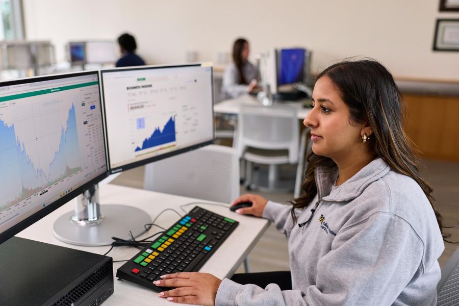 UMassD Student analyzing financial charts