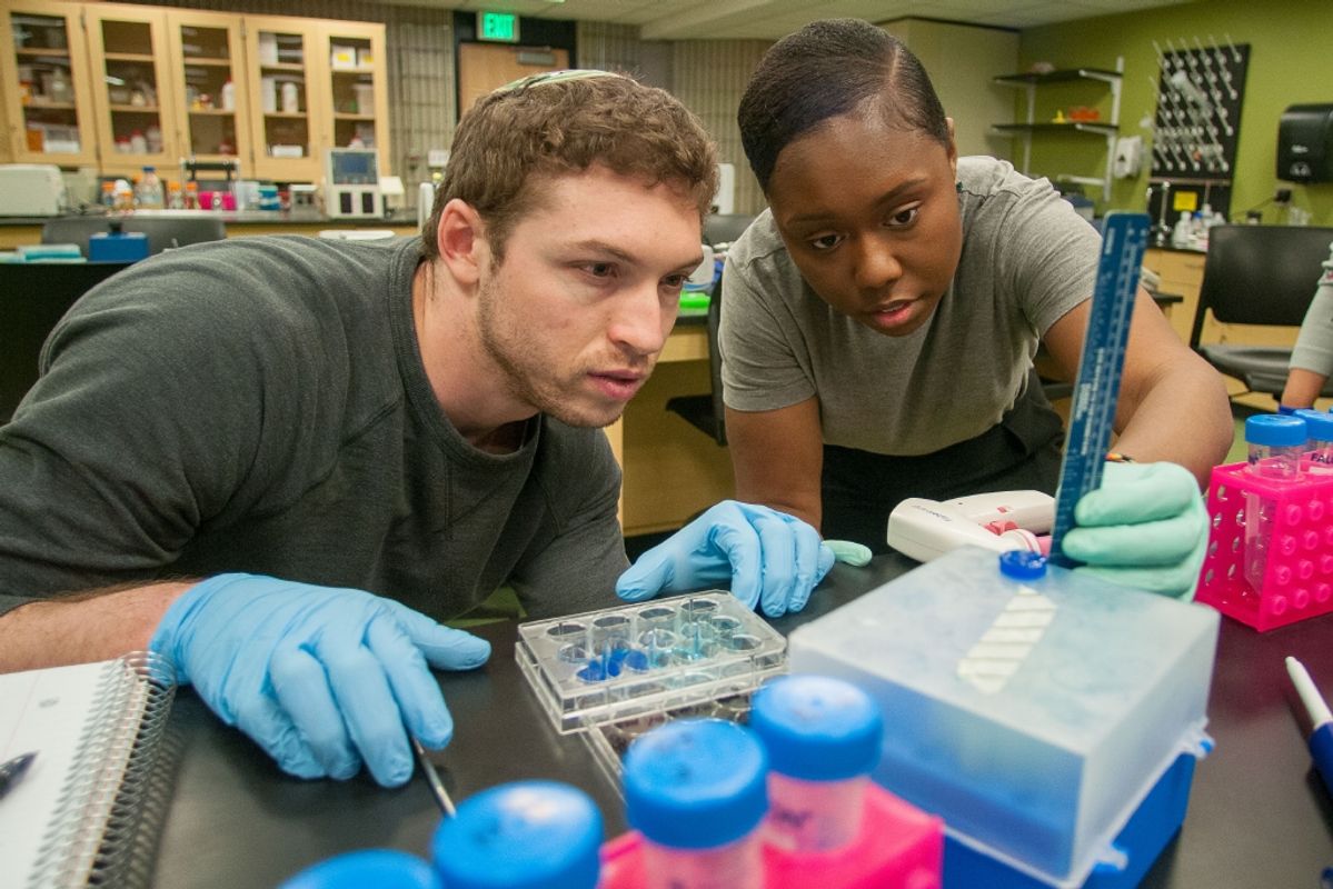 Two students in bioengineering laboratory conducting an experiment