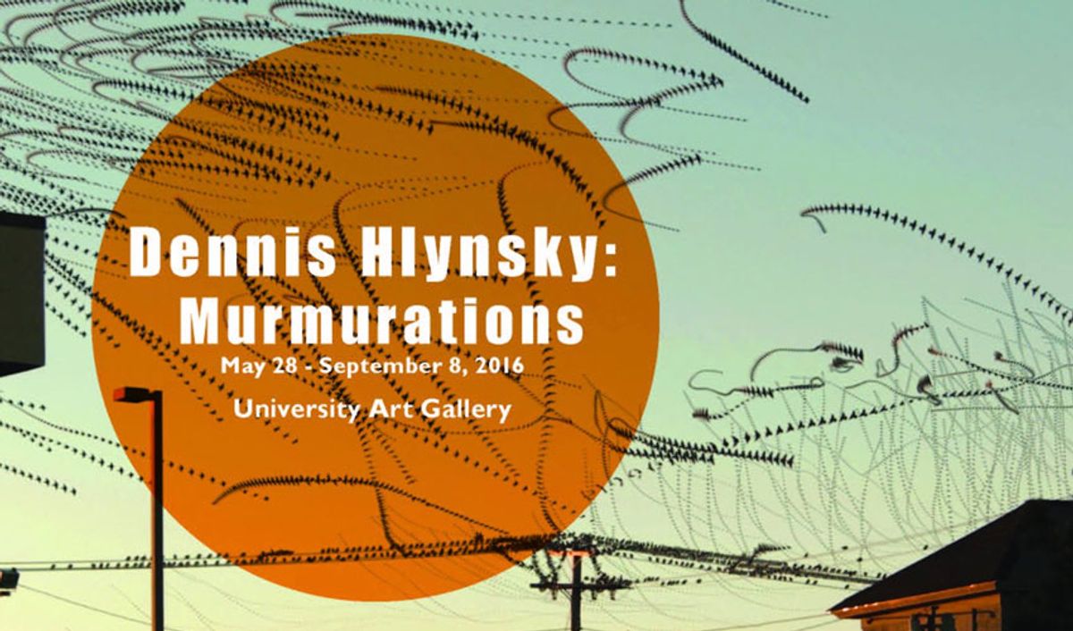 Dennis Hlynsky - Murmurations