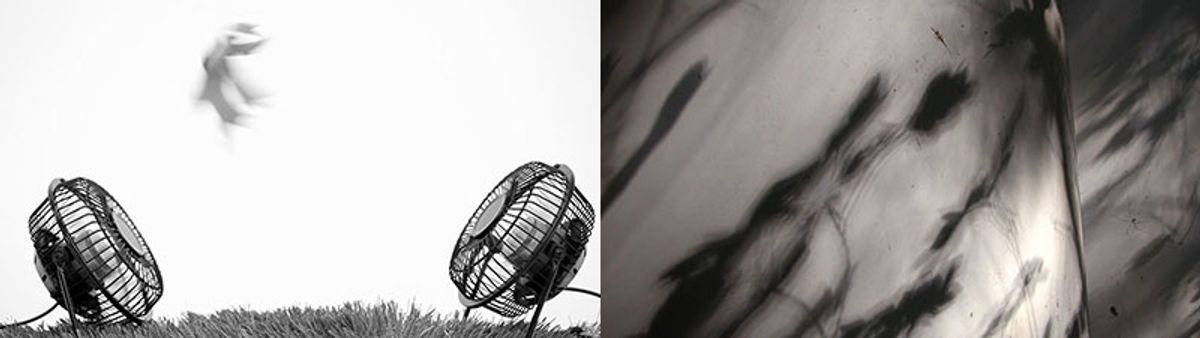 stills from Brandon Forrest Frederick, and Renee Piechocki's videos