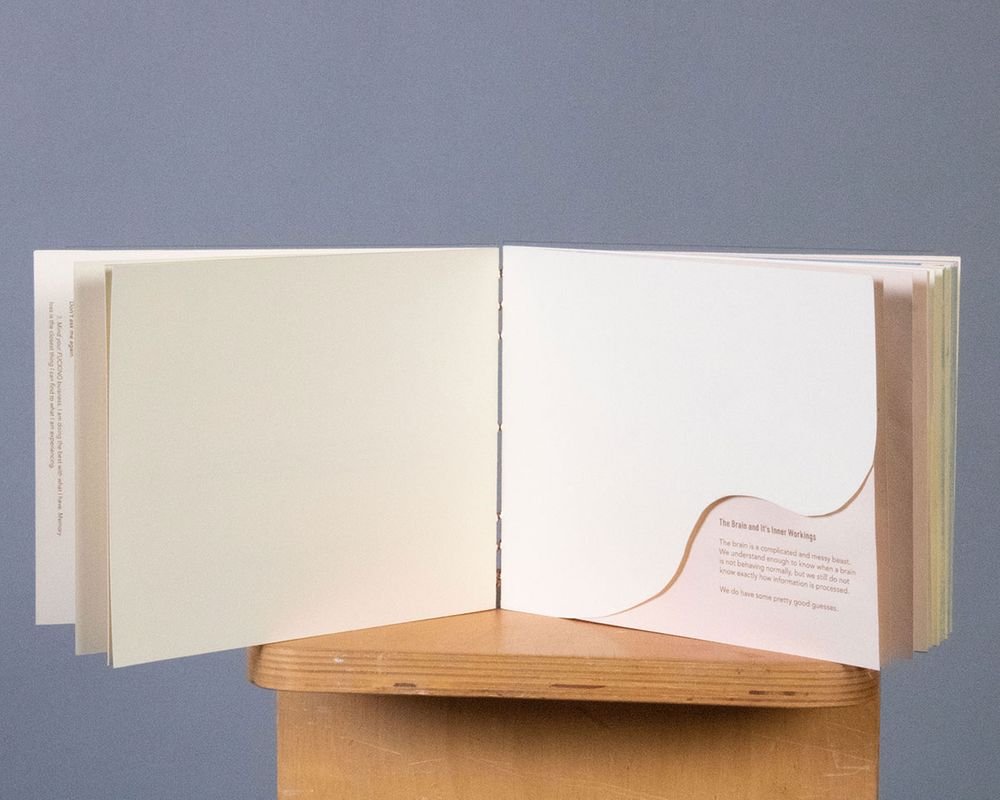 [REDACTED] Paper Cut Details, 2022, the first spread from The Brain and Its Inner Workings, 15x6 in