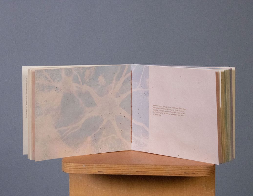 [REDACTED] The Brain Details, 2022, the center spread from The Brain and Its Inner Workings – showing a cyanotype image of a neuron, 15x6 in