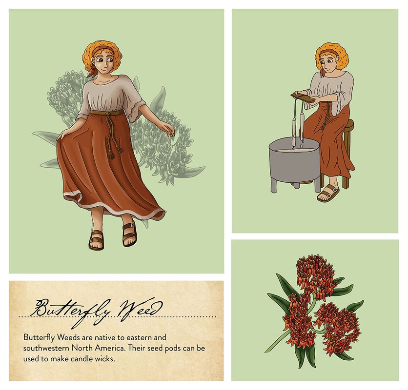 Butterfly Weed, 2021-22, digital