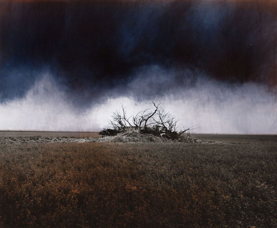 Brush with Prairie Field I, Print ‘C’, 1996, 9x7