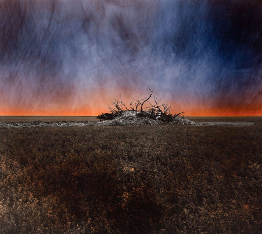 Brush with Prairie Field I, Print ‘B’, 1996, 9x7