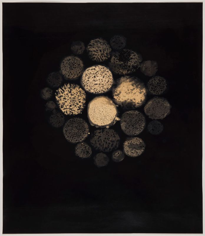 Emerging, 2025, cameraless silver gelatin print, 34 x 29 ins.