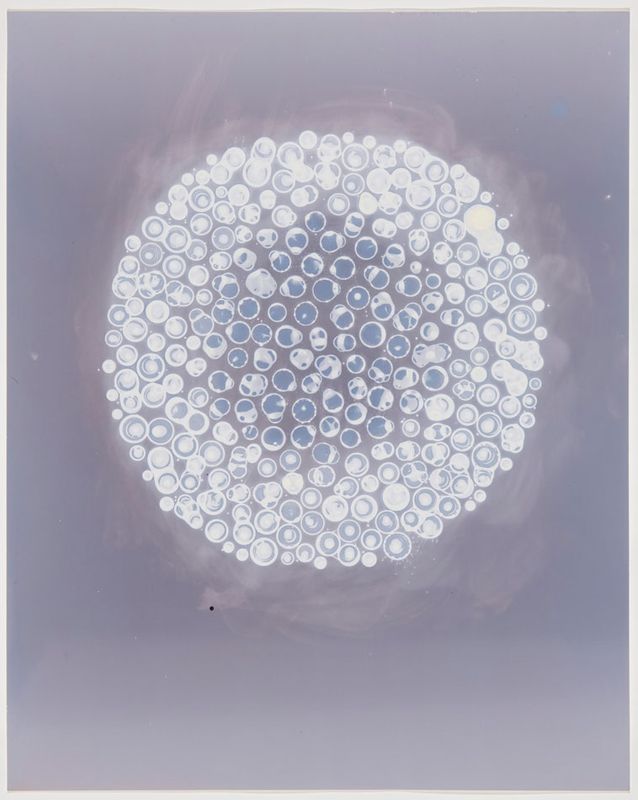 Glowing, 2025, cameraless silver gelatin print, 20x16 ins.