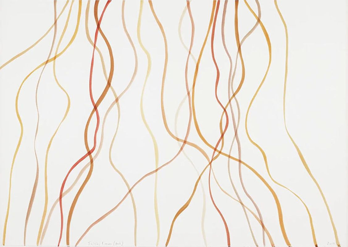 Spencer Finch, Falling Leaves (Oak), 2017