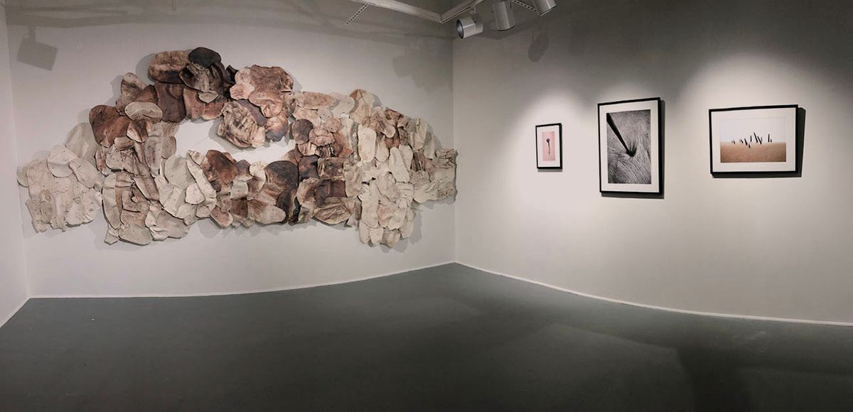 Gallery 244 Installation