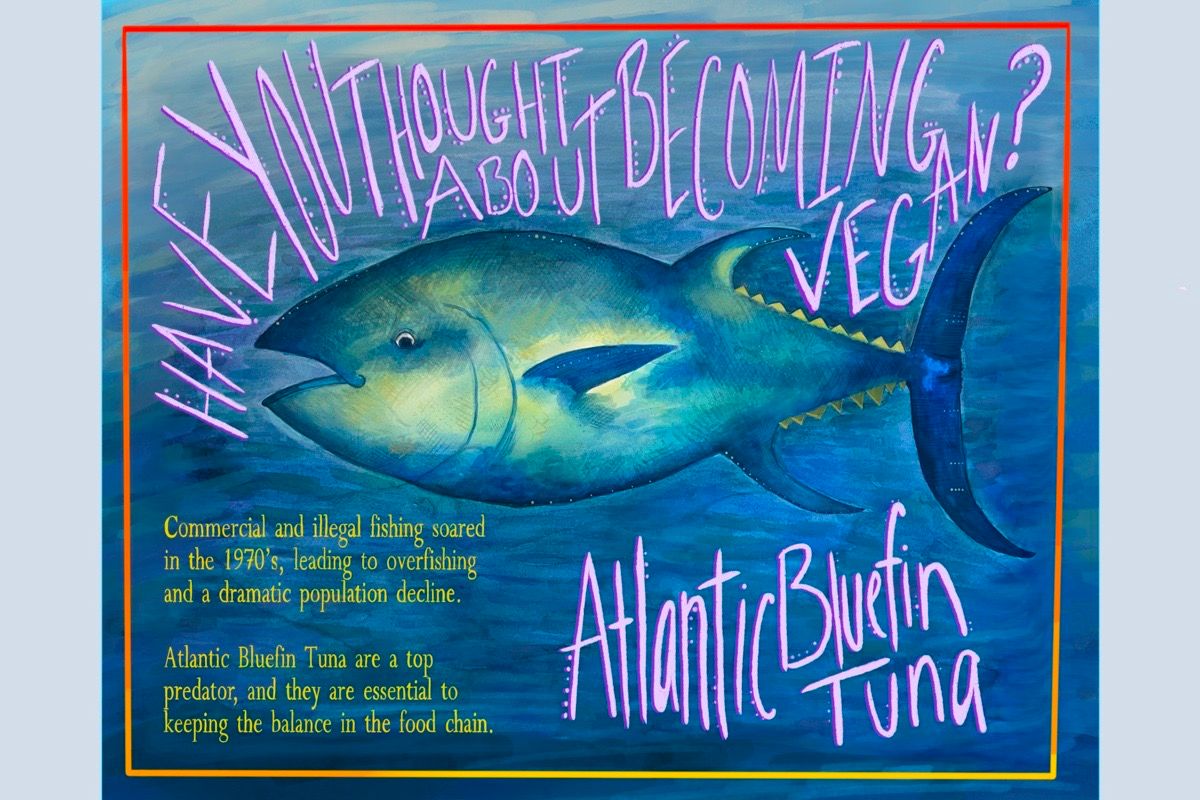 Atlantic Bluefin Tuna