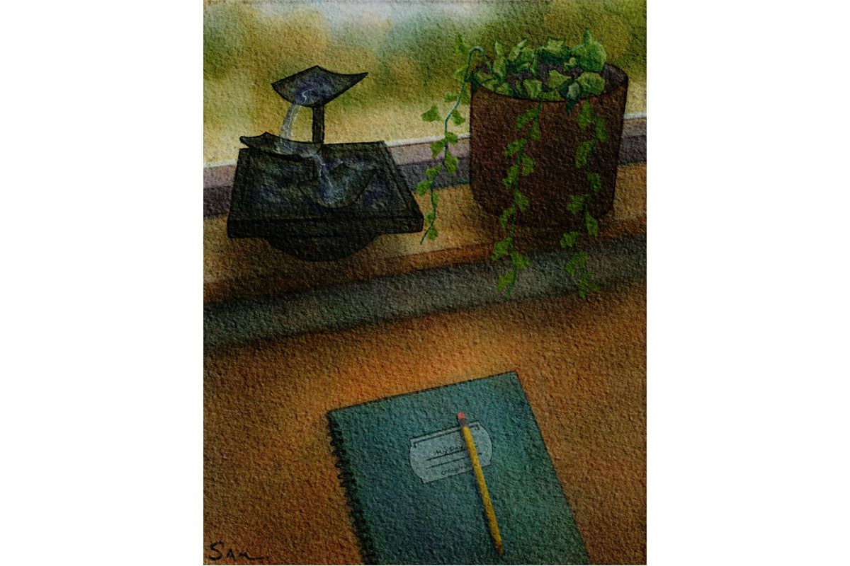 Image 7