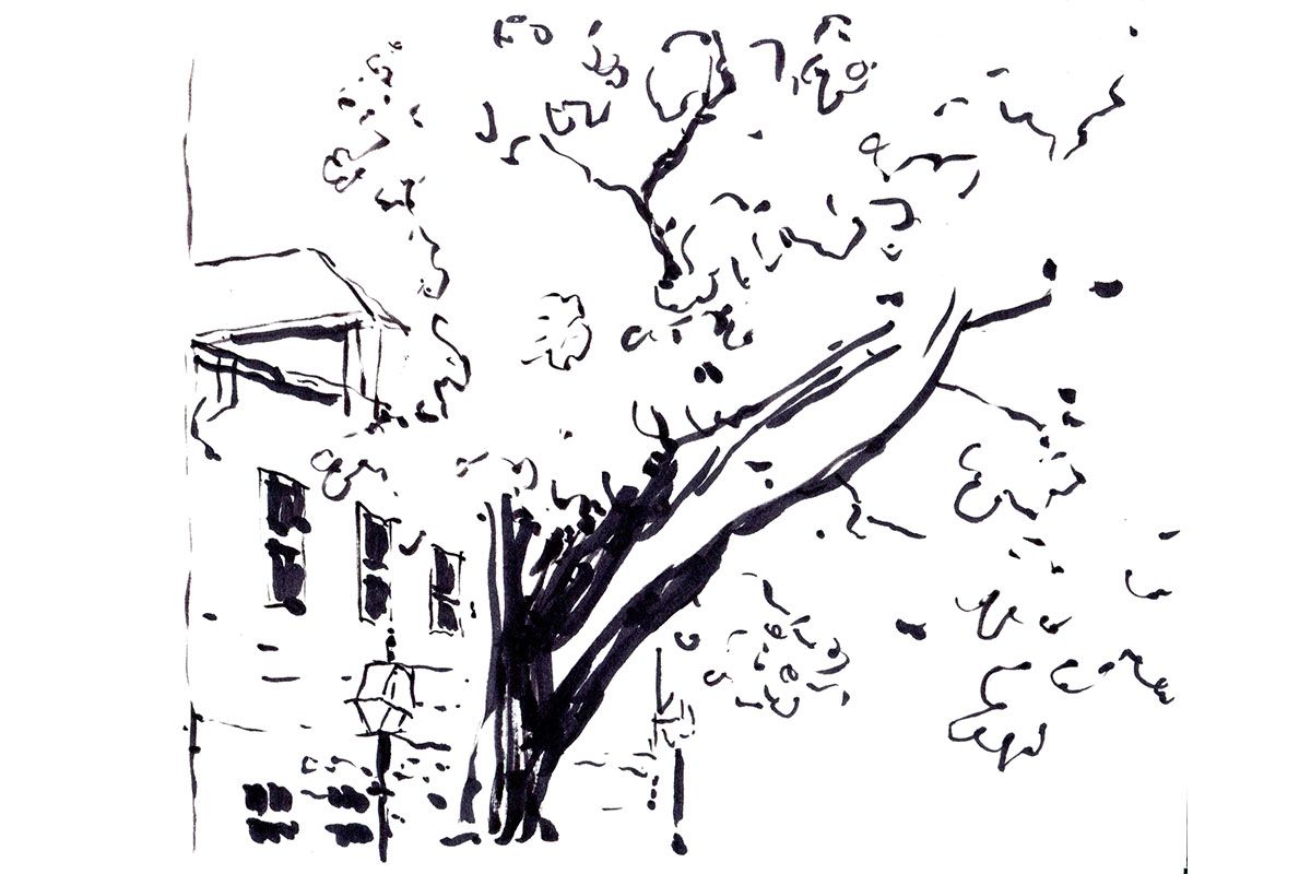 Sketch 1