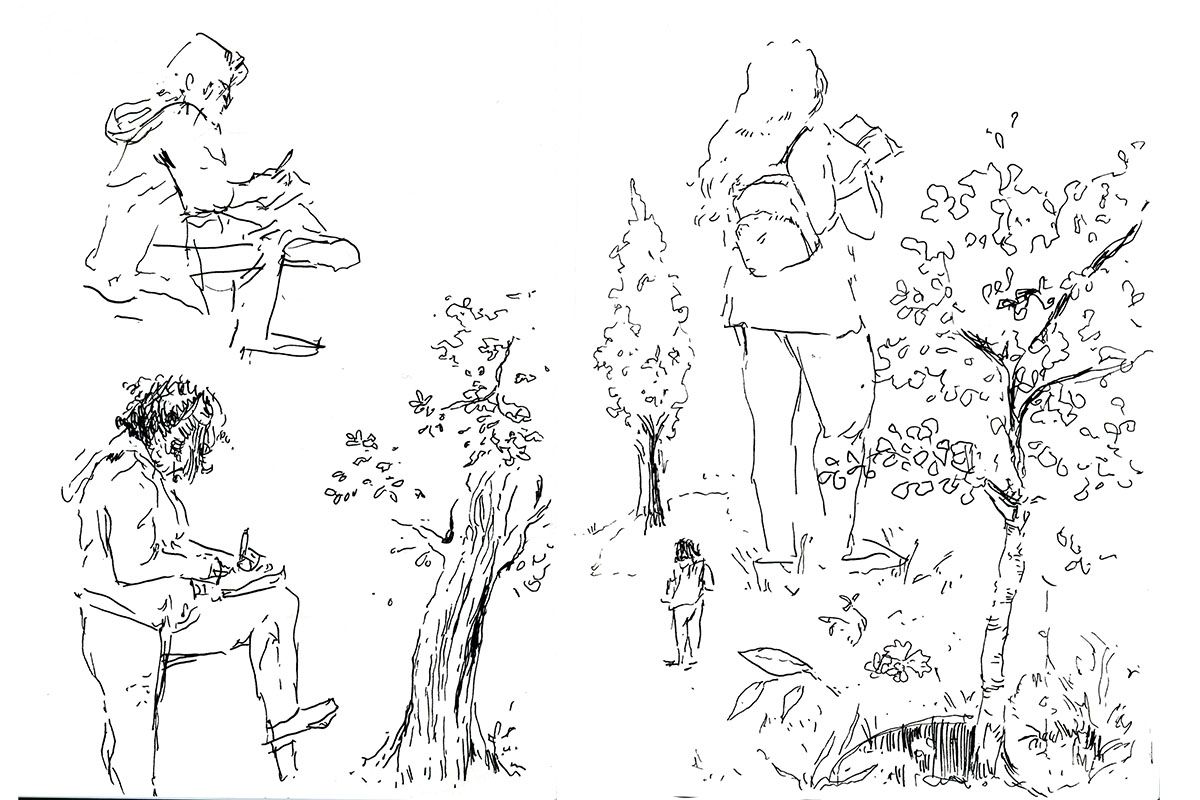 Sketch 2