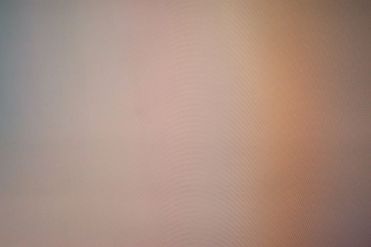 Photograph 5