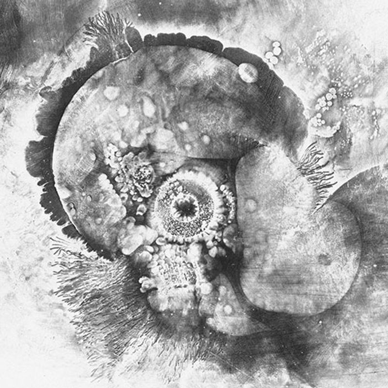 Kim Gatesman: Toroid in Polypropylene Dome Electrostatic Monotype, chine colle 6.5