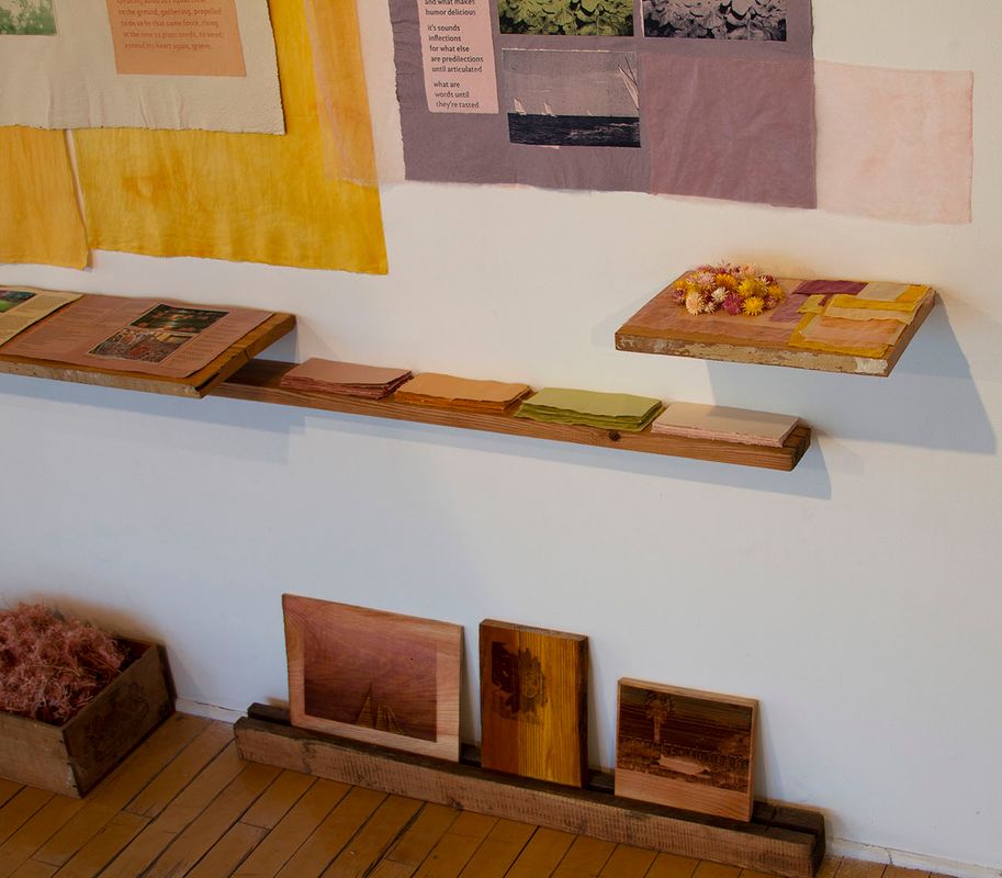 varied clarity: an index, 2021, handmade paper and ink, natural dye, cloth, reclaimed lumber, 7’ x 14’ installation. Photo credit: Hope Millham