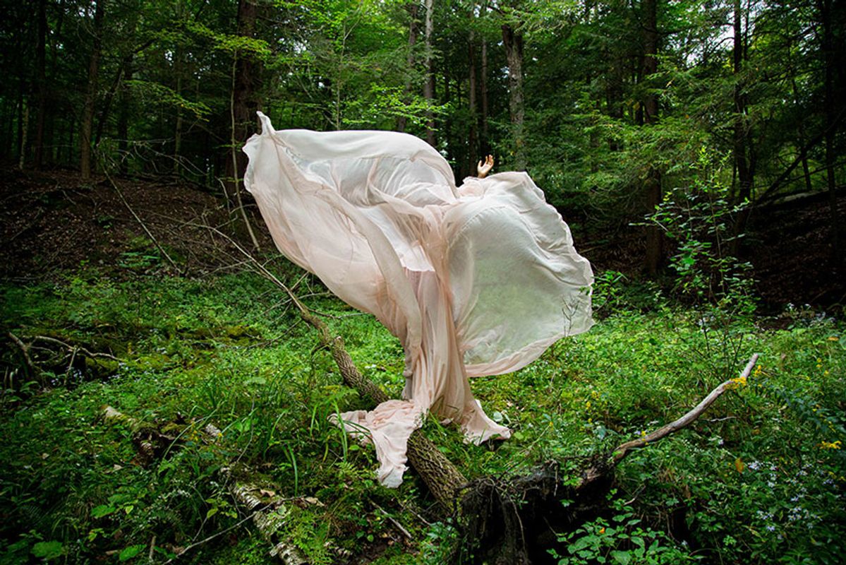 Ⓒ Corinne Spencer: Rose of Sharon, 2021