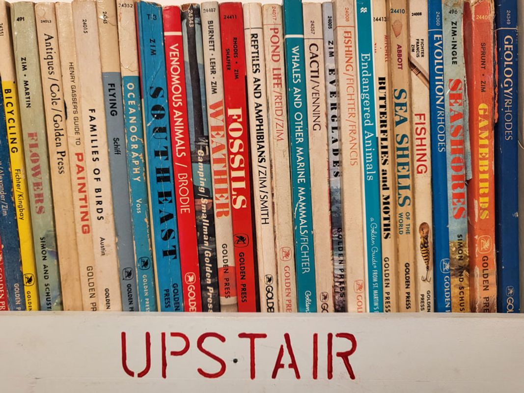 Mark Dion: Upstairs Books, 2023, shelf, bookends, field guides, shelf bracket, 13 3/4 x 25 3/4 x 5 7/8; Photo Viera Levitt (c) Mark Dion