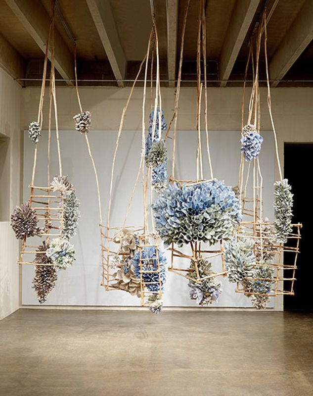 Rebecca Hutchinson, Tranquil Bloom