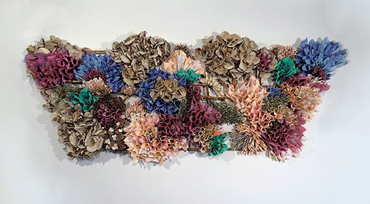Rebecca Hutchinson, Tri-Form Purple