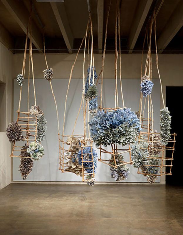 Rebecca Hutchinson, Tranquil Bloom