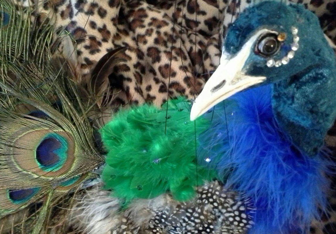 Carole D’Agostino, Peacock puppet (detail)