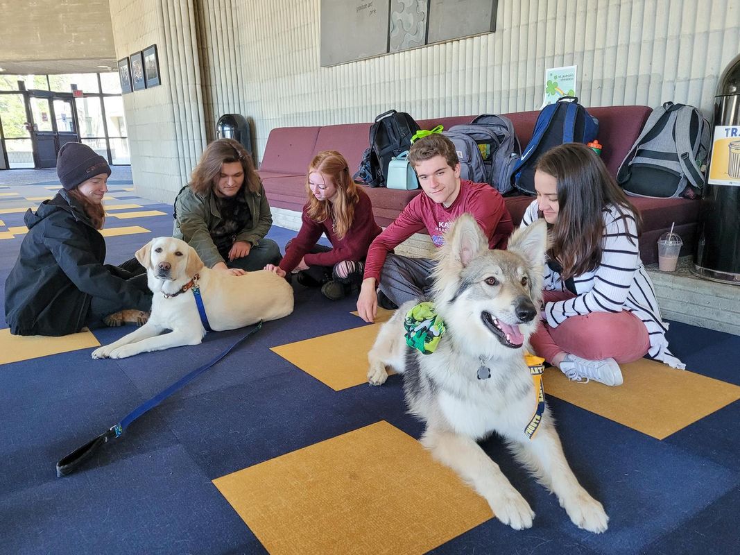 Gracie and Kali of the Canine Corsairs