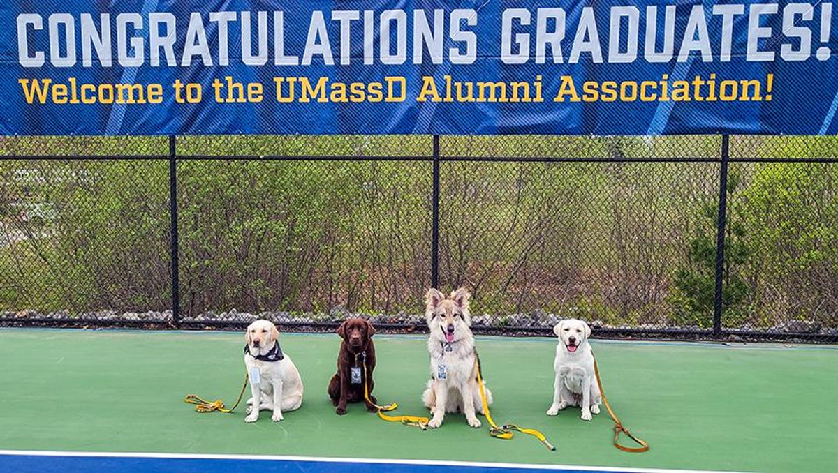 Canine Corsairs at Commencement