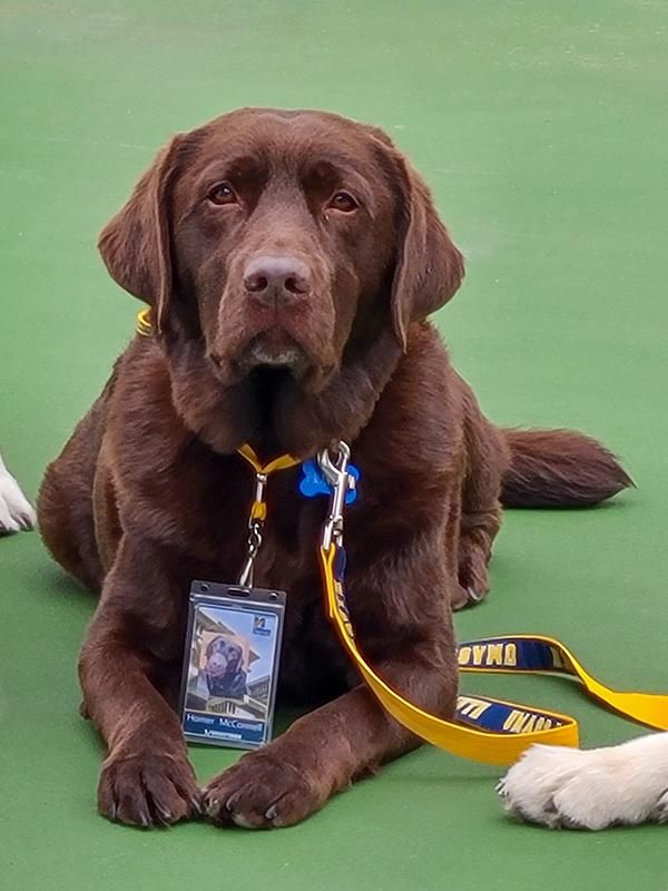 Canine Corsair Homer McConnell with his UMass Pass