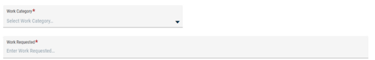 Screenshot of Asset Essentials work category entry box