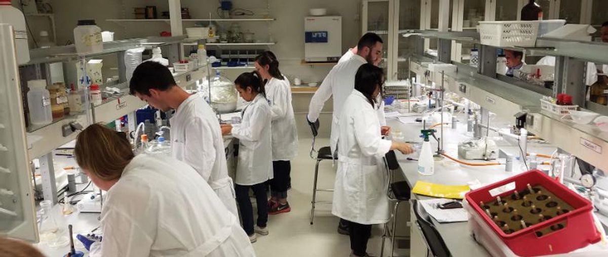 Iceland microbial study: isolating and identifying bacteria in the lab