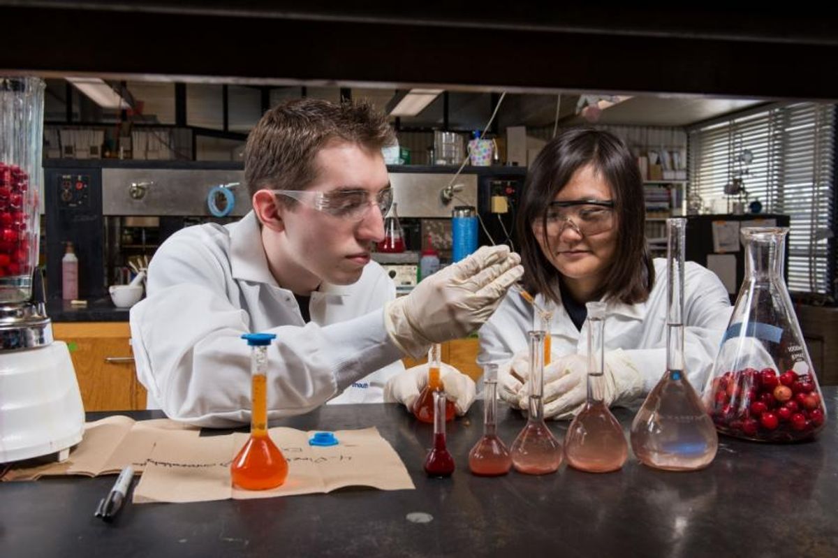 Students working in Cranberry Health Research lab