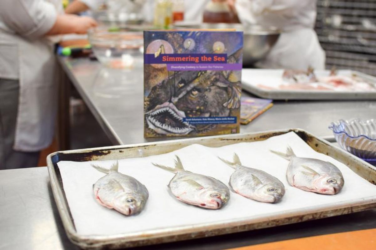 Fish on a baking sheet