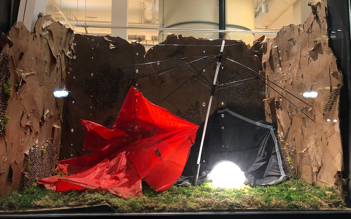 Sculpture Installations at the Star Store Campus