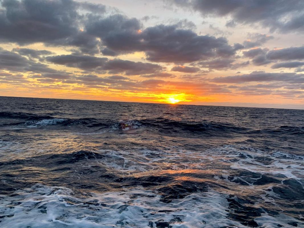 sun setting over the Arabian Sea