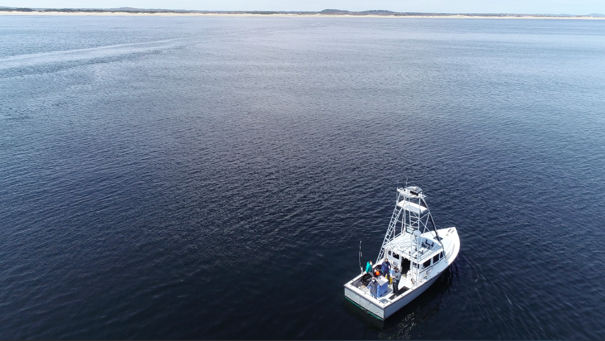 An aerial view of a boat on the Merrimack River