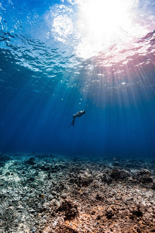 Jessie Kittel freediving in Maui