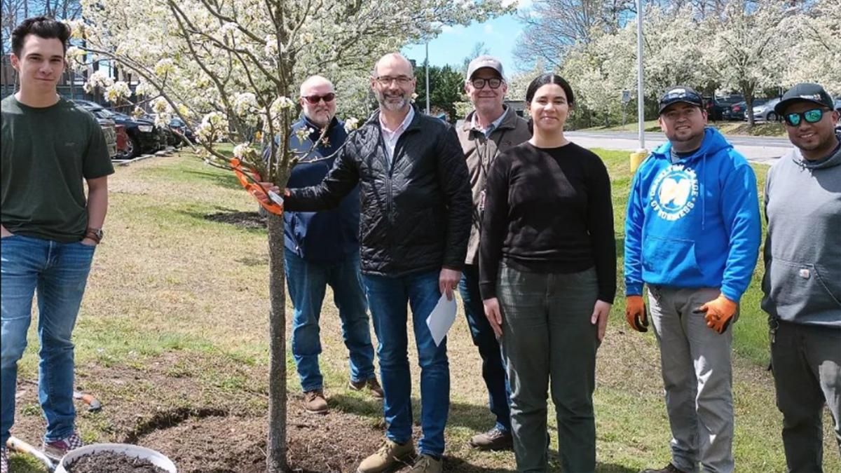 Planting a tree on Arbor Day with Jamie Jaquart on Continental Way