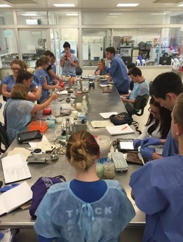 Colombia lab