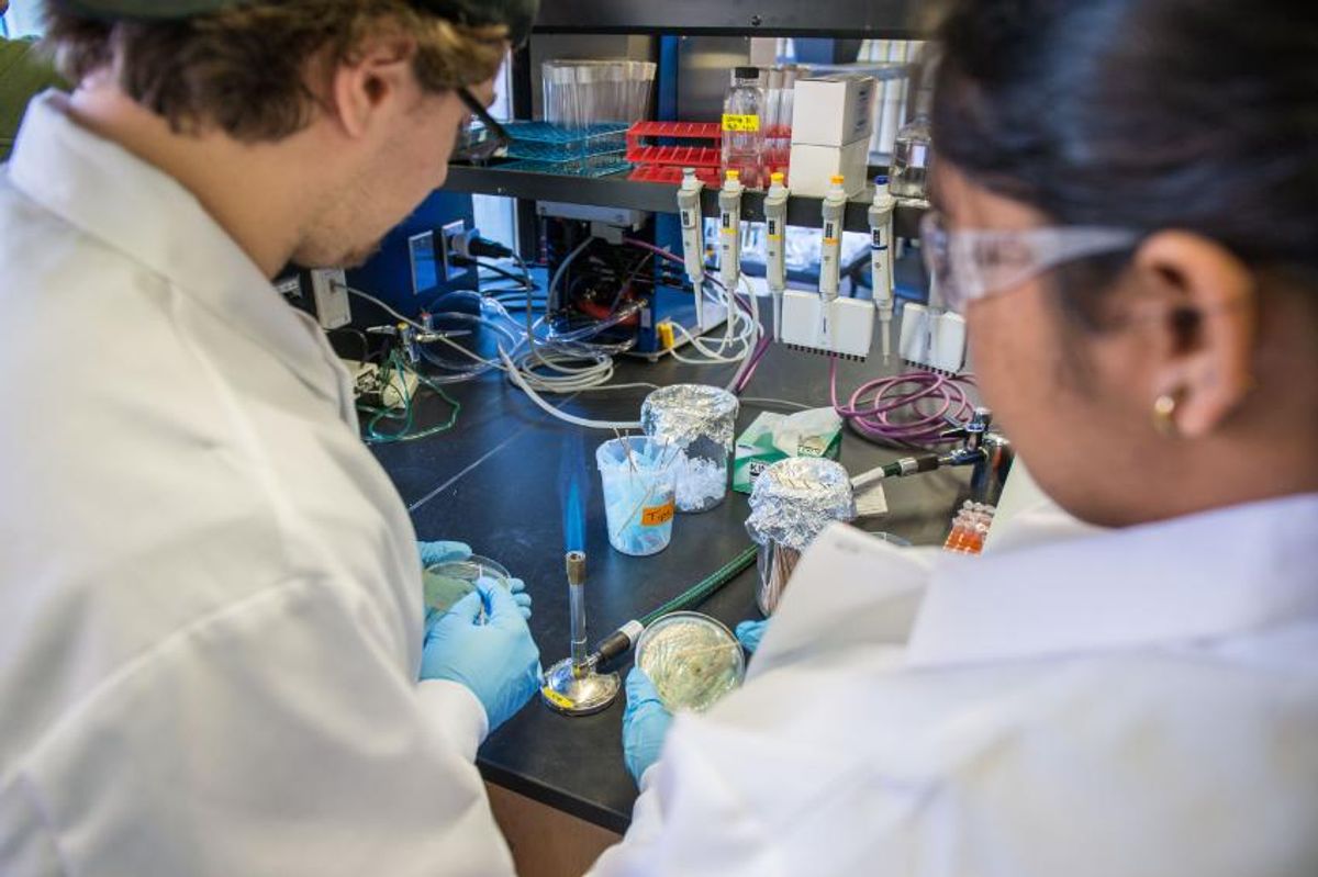 Genetic research