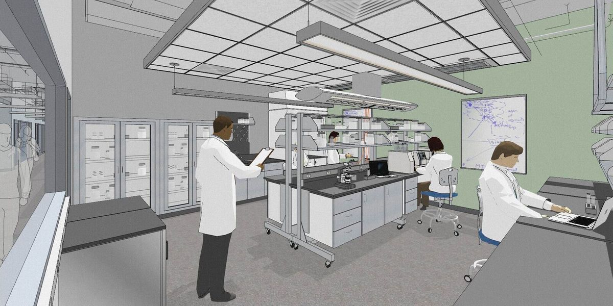 SMAST Rendering