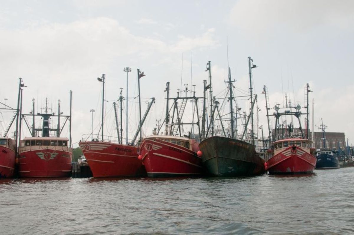Fishing Boats in New Bedford Harbor