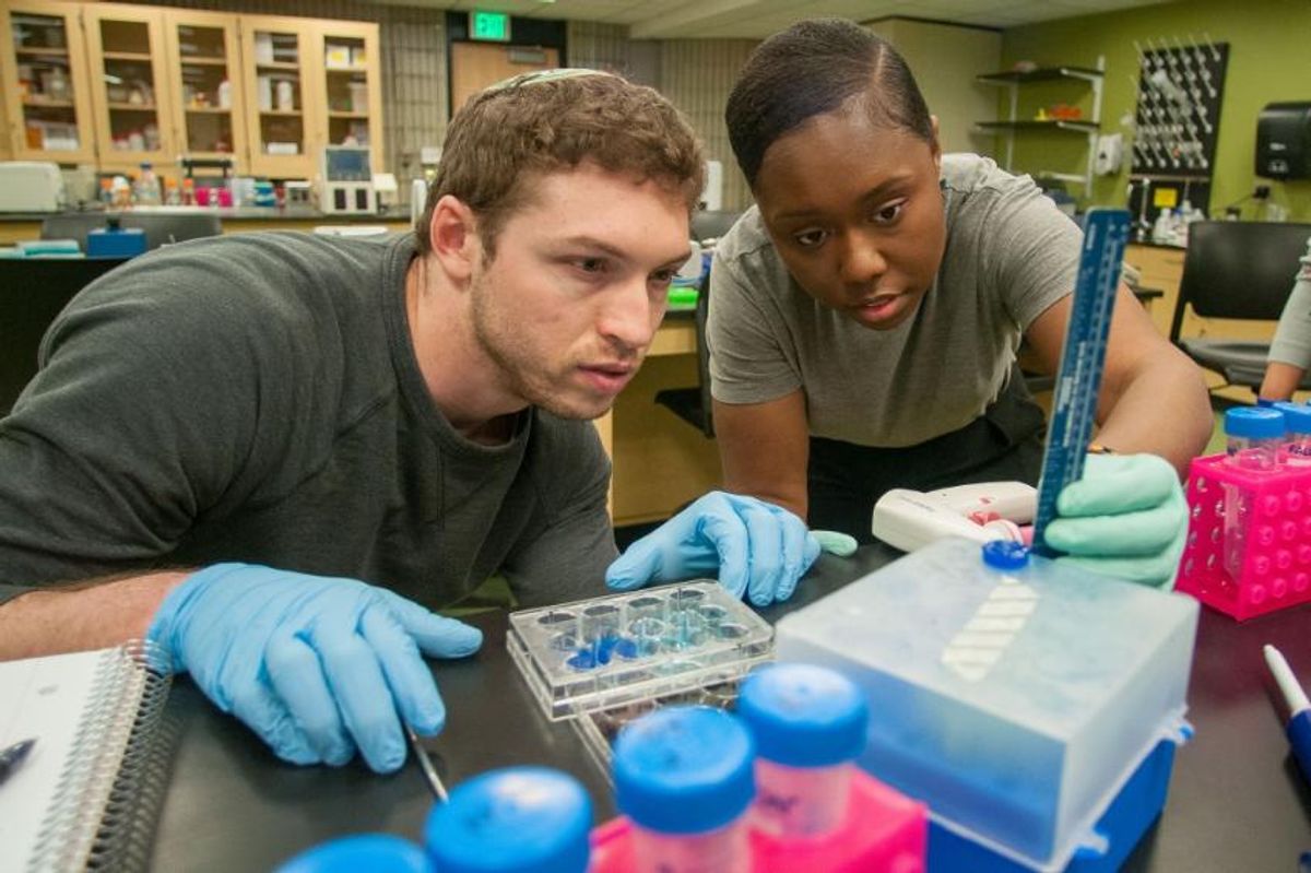 Two students research