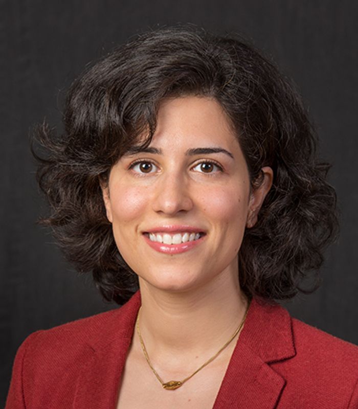 Arghavan Louhghalam