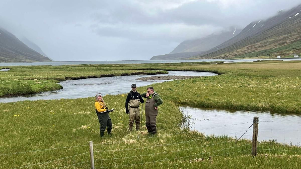 Biology major Aiden Braastad wading into a fjord with his counterparts from the University of Akureyri (Iceland)