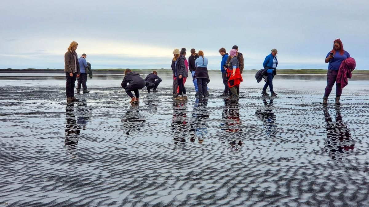 Biology students investigating microbiomes in Iceland