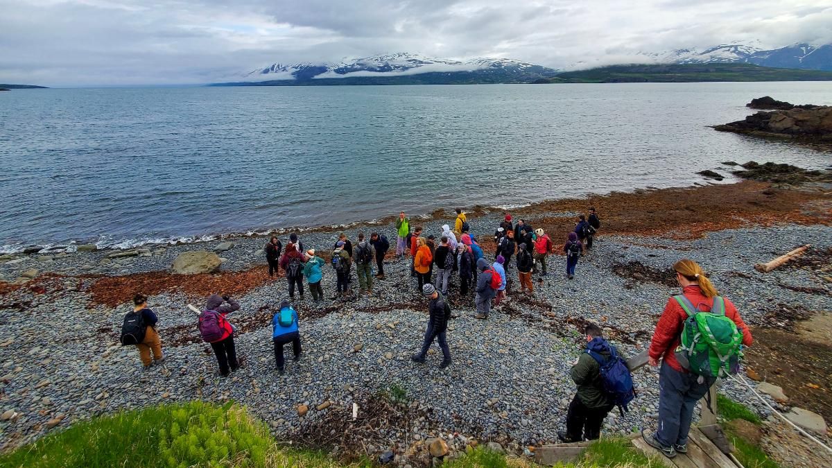 Biology students investigating microbiomes along the shore in Iceland