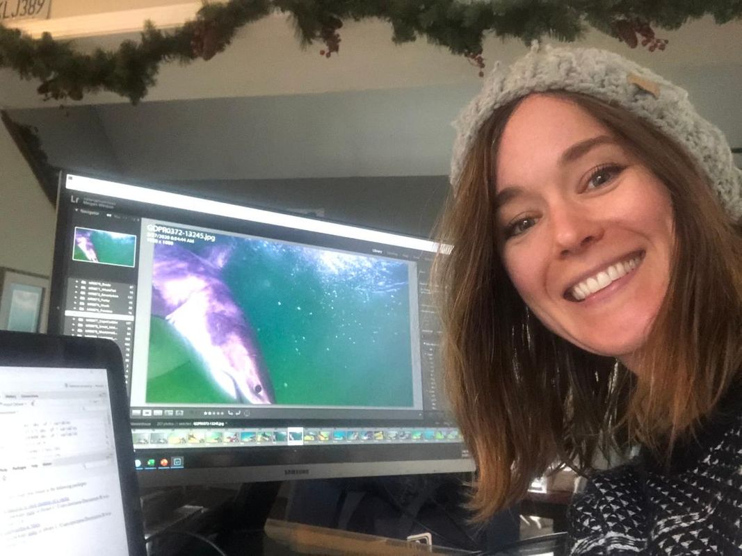 Megan Winton at her computer screen displaying an image of a great white shark