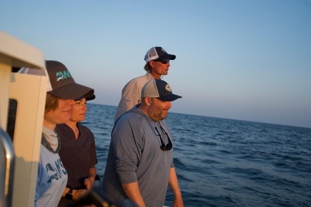 shark researchers looking out to sea after tagging a baby white shark