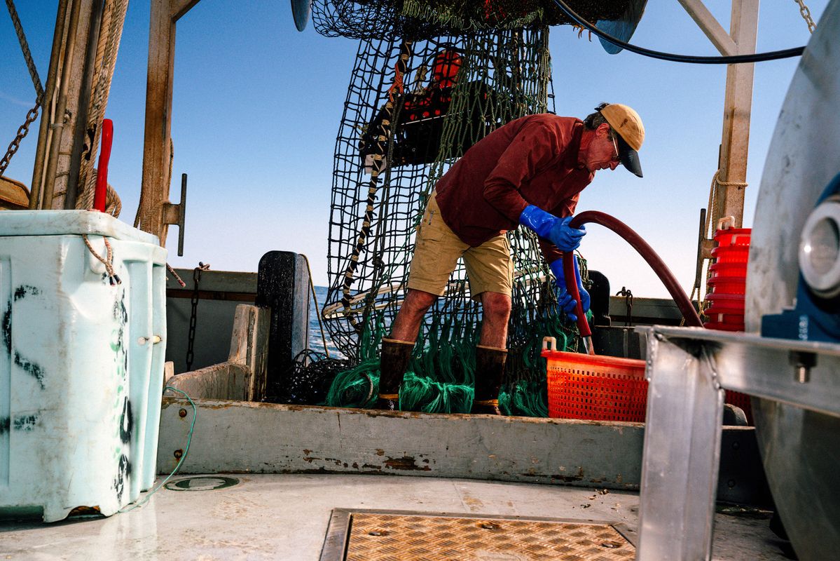 A fisherman working on a fishing boat where SMAST researchers test new technology